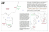 sta24 sydney to tasmania_thumb.gif